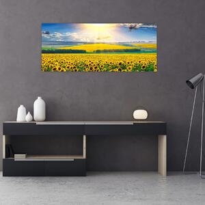 Tablou - Câmp cu floarea soarelui (120x50 cm)