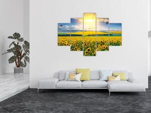 Tablou - Câmp cu floarea soarelui (150x105 cm)