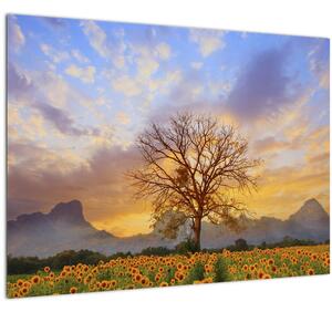 Tablou pe sticlă - Peisaj cu floarea soarelui (70x50 cm)