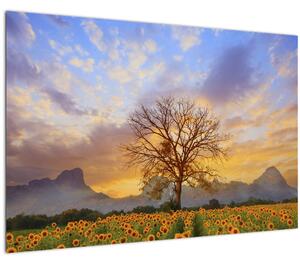 Tablou - Peisaj cu floarea soarelui (90x60 cm)
