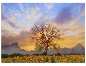 Tablou - Peisaj cu floarea soarelui (70x50 cm)