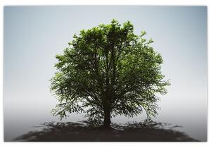 Tablou - Copacul singuratic (90x60 cm)