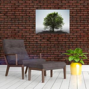Tablou - Copacul singuratic (70x50 cm)