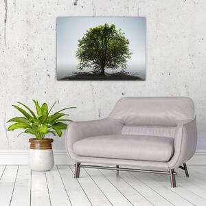 Tablou - Copacul singuratic (70x50 cm)