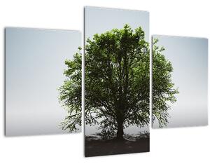 Tablou - Copacul singuratic (90x60 cm)
