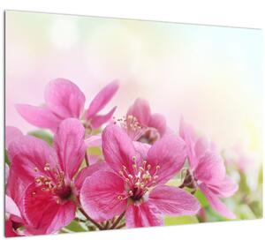 Tablou pe sticlă - Flori roz (70x50 cm)
