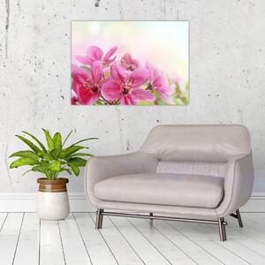 Tablou - Flori roz (70x50 cm)