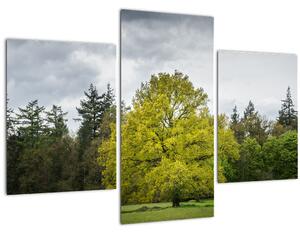Tablou - Copac verde în câmp (90x60 cm)