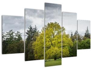 Tablou - Copac verde în câmp (150x105 cm)