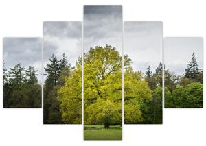 Tablou - Copac verde în câmp (150x105 cm)
