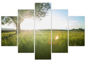 Tablou - Copac în câmp (150x105 cm)