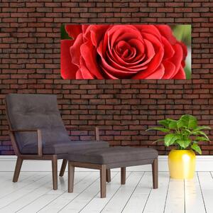 Tablou - Flori de trandafir (120x50 cm)