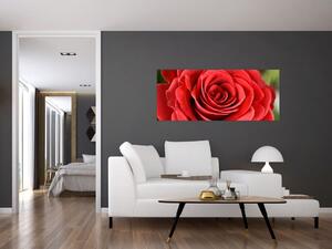 Tablou - Flori de trandafir (120x50 cm)