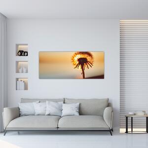 Tablou - Păpădie la apus de soare (120x50 cm)