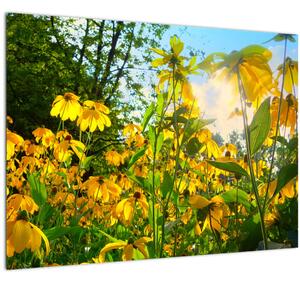 Tablou pe sticlă - Flori galbene (70x50 cm)