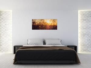 Tablou - Câmp la apus de soare (120x50 cm)
