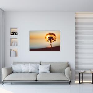 Tablou - Păpădie la apus de soare (90x60 cm)