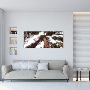 Tablou - Privire prin vârfurile copacilor (120x50 cm)