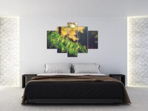 Tablou - Ciupercă și muschi (150x105 cm)