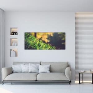 Tablou - Ciupercă și muschi (120x50 cm)