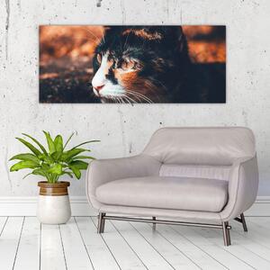Tablou - Privirea pisicii (120x50 cm)