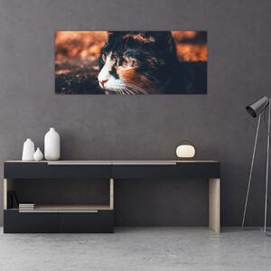 Tablou - Privirea pisicii (120x50 cm)