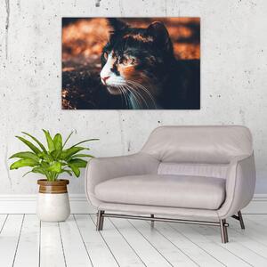 Tablou - Privirea pisicii (90x60 cm)