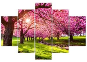 Tablou - Cireși înfloriți, Hurd Park, Dover, New Jersey (150x105 cm)