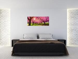 Tablou - Cireși înfloriți, Hurd Park, Dover, New Jersey (120x50 cm)