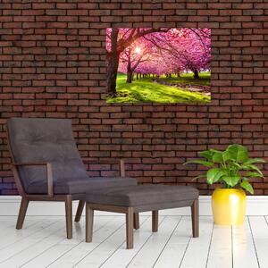 Tablou - Cireși înfloriți, Hurd Park, Dover, New Jersey (70x50 cm)
