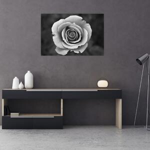 Tablou - Trandafir (90x60 cm)