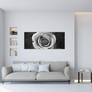 Tablou - Trandafir (120x50 cm)