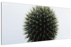 Tablou - Sfere de flori (120x50 cm)