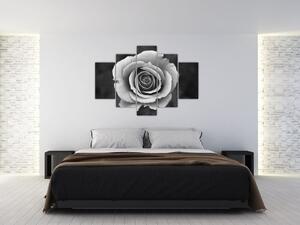 Tablou - Trandafir (150x105 cm)