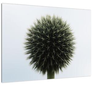 Tablou pe sticlă - Sfere de flori (70x50 cm)