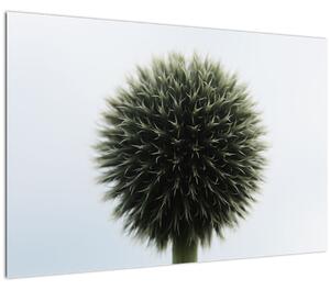 Tablou - Sfere de flori (90x60 cm)