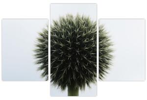 Tablou - Sfere de flori (90x60 cm)