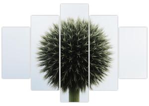 Tablou - Sfere de flori (150x105 cm)