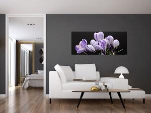 Tablou - Crocus violet (120x50 cm)