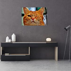 Tablou - Pisica suspicioasă (70x50 cm)