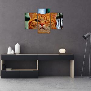 Tablou - Pisica suspicioasă (90x60 cm)
