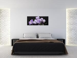 Tablou - Crocus violet (120x50 cm)