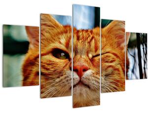 Tablou - Pisica suspicioasă (150x105 cm)