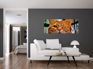 Tablou - Pisica suspicioasă (120x50 cm)