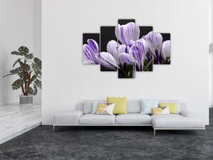 Tablou - Crocus violet (150x105 cm)