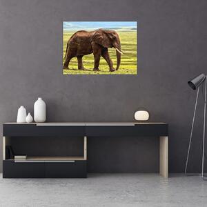 Tablou - Elefantul (70x50 cm)