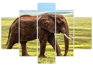 Tablou - Elefantul (150x105 cm)
