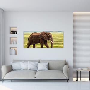 Tablou - Elefantul (120x50 cm)