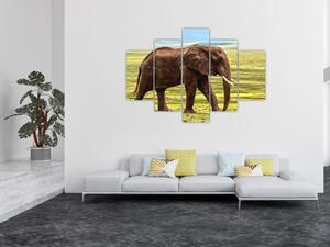 Tablou - Elefantul (150x105 cm)