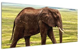 Tablou - Elefantul (120x50 cm)